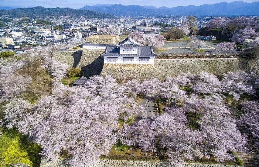 Tsuyama Castle, Japan